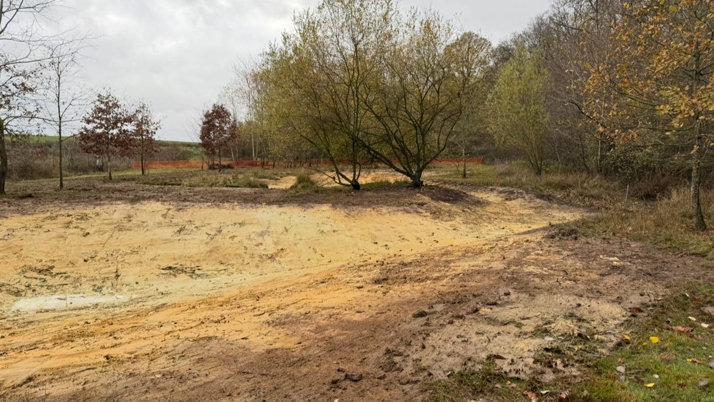 Mare renaturée et terrassée en site écologique